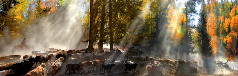 355 - THROUGH THE JUNGLE - XIE DACAI - china.jpg